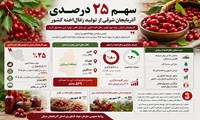  آذربایجان شرقی؛ رتبه دوم تولید زغال‌اخته کشور 
